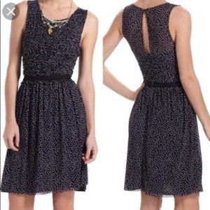 Anthropologie Postmark Navy Swiss Dot Sleeveless Dress XS